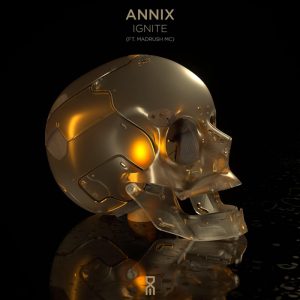 Annix cover art